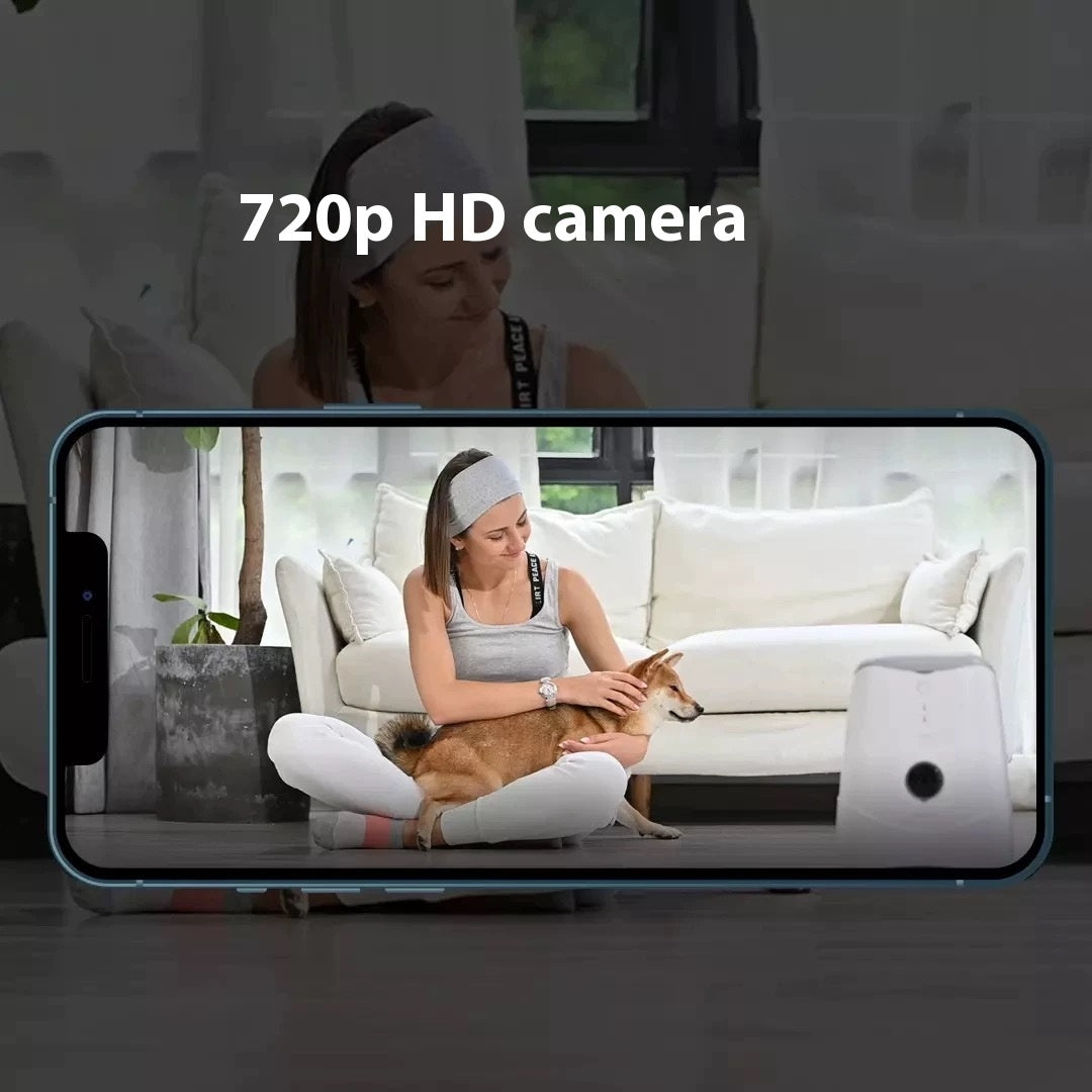 Mini Pet Feeder Cat Dog Cat Food Dog Food Timing Quantitative